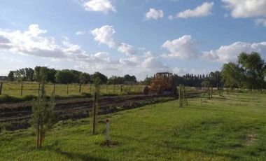 Terreno venta - 11x42mts - 462mts2 totales - Navarro