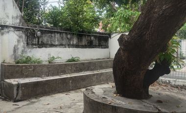 MURAH ex cafe dan kantor selangkah ke jl Kartini dan Ry Darmo,