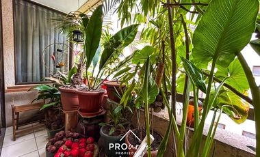 Departamento en Venta en San Sebastian/Presidente Riesco