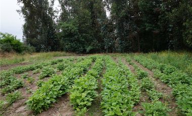 OPORTUNIDAD¡¡ PARCELA A UN EXCELENTE PRECIO