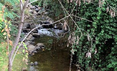 20,20 HAS 35 PARCELAS, CASA Y CABAÑA BODEGA