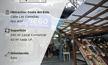 Local comercial, lote y tres departamentos a la venta en Costa del Este - Calle Las Camelias al 407