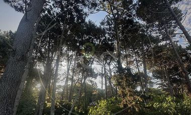 Local comercial, lote y tres departamentos a la venta en Costa del Este - Calle Las Camelias al 407