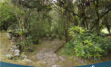 En Venta Hermosa Finca en Tabio Rio Frio Oriental