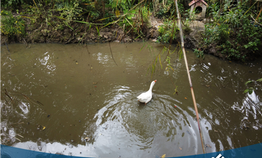 En Venta Hermosa Finca en Tabio Rio Frio Oriental