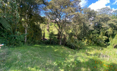 Venta finca escrituras independientes Santa elena central