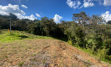 Venta finca escrituras independientes Santa elena central