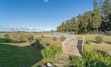 Venta - Lote 42 - Barrio Pradera - Casonas del Haras - Entrega inmediata