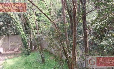 Depto 2 dormitorios  con  Balcon terraza ,parrilla y cochera  a mts de calle Mendoza Maschwitz- OPORTUNIDAD