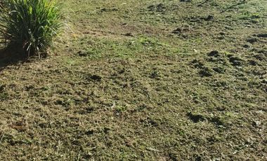 Extraordinario Terreno