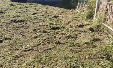 Extraordinario Terreno