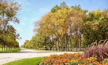 Terreno en venta - 640mts2 - San Vicente