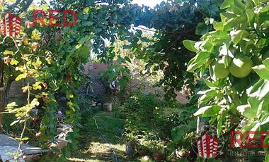 Vende casa en Senillosa