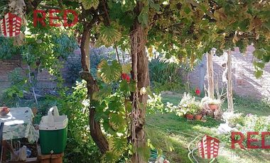 Vende casa en Senillosa