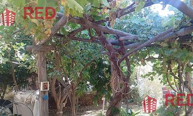 Vende casa en Senillosa