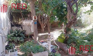 Vende casa en Senillosa