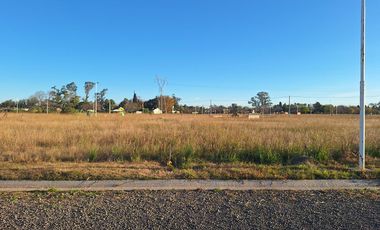 Terreno a la venta en barrio Campo Madero - Ibarlucea