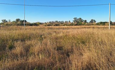 Terreno a la venta en barrio Campo Madero - Ibarlucea