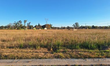 Terreno a la venta en barrio Campo Madero - Ibarlucea