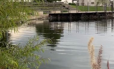 CASAS Y DEPARTAMENTOS EN VENTA EN ZAKIA ZIBATA QUERETARO QRO MEXICO