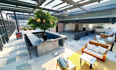 Departamentos en Renta en Paseo de la Reforma Sin Aval Ciudad de México