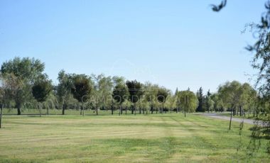 Terreno venta 2356 mts 2 totales - Campos de Roca II