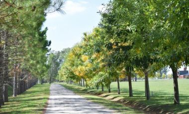 Terreno venta 2356 mts 2 totales - Campos de Roca II