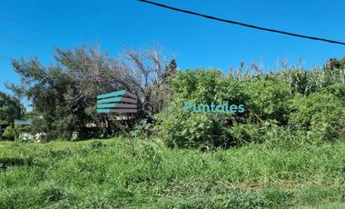 Terreno en Don Orione de 660 M2 sobre calle de alto tránsito comercial