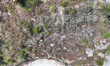 Terreno comercial en Zona Esmeralda