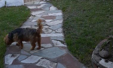 Casa en venta - 2 Dormitorios 1 Baño - Cocheras - 294Mts2 - Beccar, San Isidro