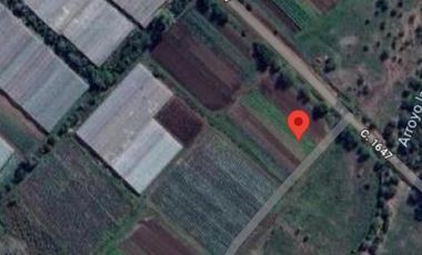 Campo en venta 150000 mts2- Florencio Varela