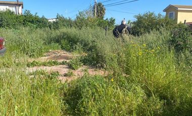 Vendo Terreno Plano Sector Valencia Quilpué