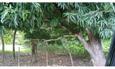 En venta Terreno en el Higo de San Carlos, Panamá Oeste