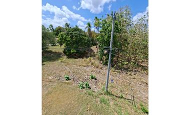 En venta Terreno en el Higo de San Carlos, Panamá Oeste