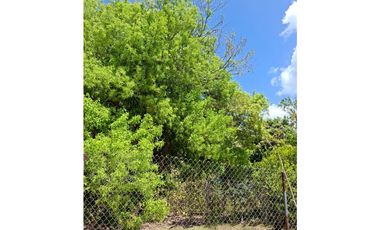 En venta Terreno en el Higo de San Carlos, Panamá Oeste