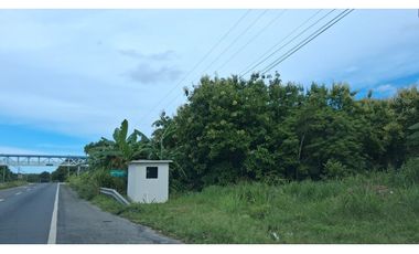 En venta Terreno en el Higo de San Carlos, Panamá Oeste