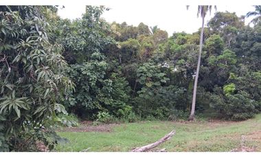 En venta Terreno en el Higo de San Carlos, Panamá Oeste