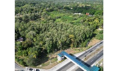En venta Terreno en el Higo de San Carlos, Panamá Oeste