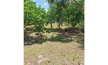 En venta Terreno en el Higo de San Carlos, Panamá Oeste