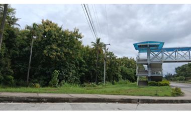 En venta Terreno en el Higo de San Carlos, Panamá Oeste