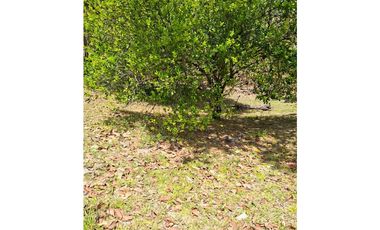 En venta Terreno en el Higo de San Carlos, Panamá Oeste