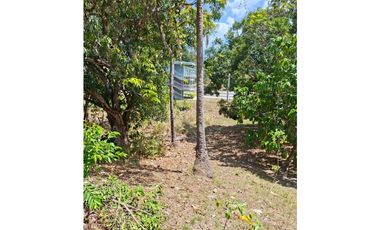 En venta Terreno en el Higo de San Carlos, Panamá Oeste