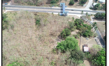 En venta Terreno en el Higo de San Carlos, Panamá Oeste
