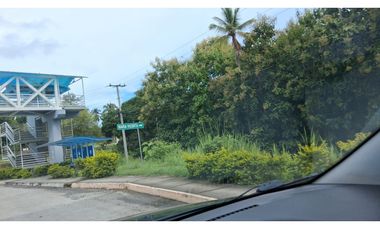 En venta Terreno en el Higo de San Carlos, Panamá Oeste