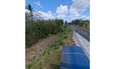 En venta Terreno en el Higo de San Carlos, Panamá Oeste