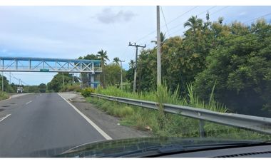 En venta Terreno en el Higo de San Carlos, Panamá Oeste