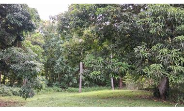 En venta Terreno en el Higo de San Carlos, Panamá Oeste