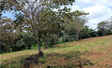 EL COPECITO / SAN CARLOS / 1089 M / VISTA AL MAR / CLIMA FRESCO / AG