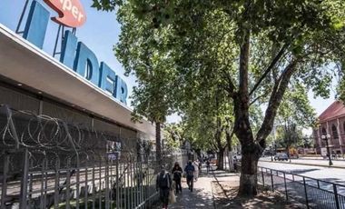 LOS PLATANOS CON EXEQUIEL FERNANDEZ