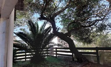 Casa en venta - 4 Dormitorios 2 Baños - 202.5Mts2 - Las Toninas